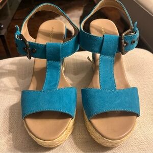 Andrea Teal T-Strap Espadrille Wedge Sandals size 7